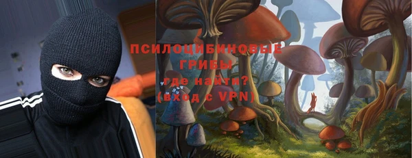 spice Белокуриха