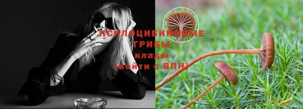 spice Белокуриха