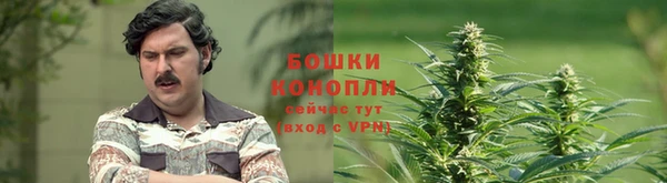 spice Белокуриха