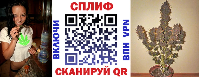Бошки марихуана марихуана  Малмыж 
